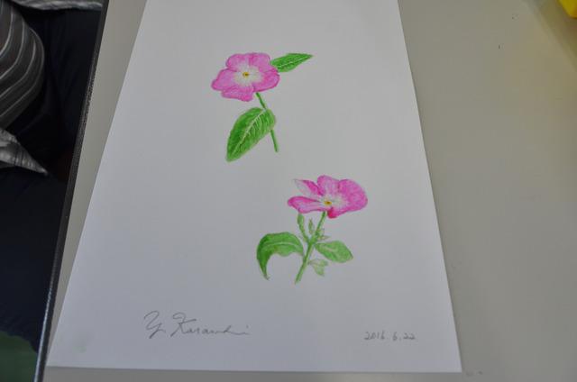 サイン入りの完成した花の絵の写真