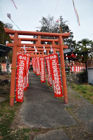 赤い旗が取り付けられた赤い鳥居が並んでいる写真