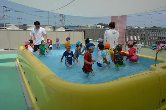 園児たちが先生と一緒にプール遊びをしている写真