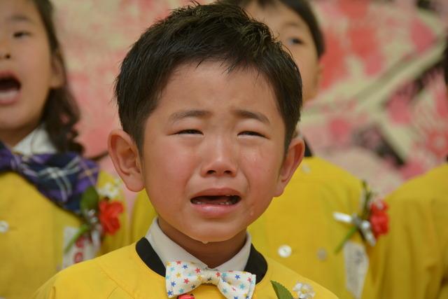 泣きながら歌う園児の写真