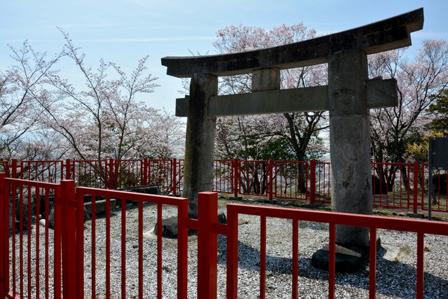 敷島総合公園内にある旧金桜神社石鳥居の写真