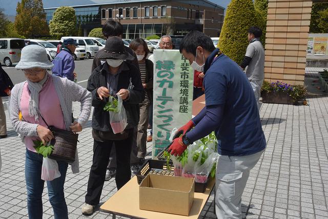 (写真)参加者全員にゴーヤの苗が配る様子