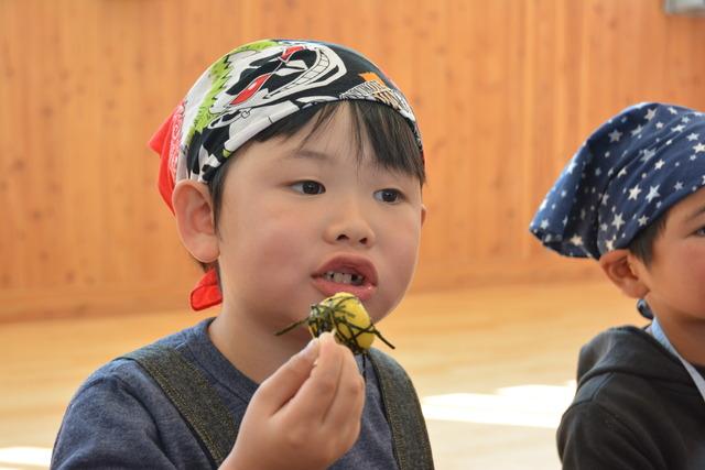 団子を試食する男の子の写真