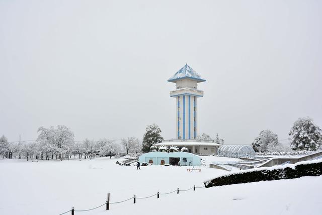 あたり一面が雪で覆われているドラゴンパーク（赤坂台総合公園）の塔の写真