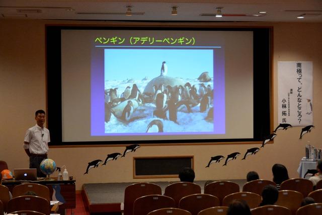 講師の山梨大学生命環境学部の小林准教授がアデリーペンギンの写真を紹介し説明している写真