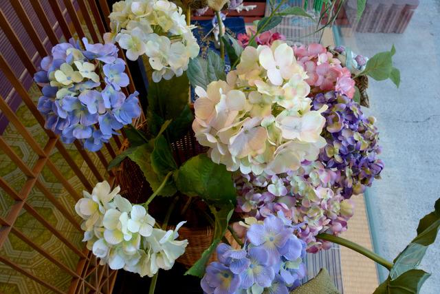 青、ピンク、白のアジサイの花の写真