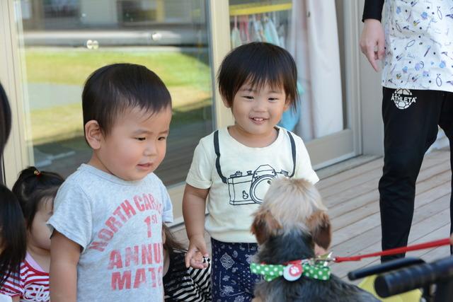 犬を嬉しそうに見る園児たちの写真