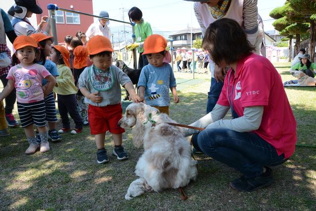 犬に触る園児達の写真