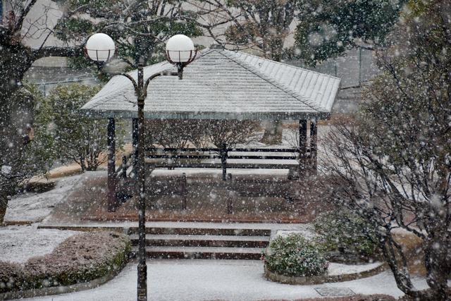 (写真)降り始めた雪が少しずつ積もりはじめた竜王北部公園の様子