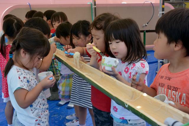 園庭のテント内で行われた流しそうめんで園児たちがそうめんを食べている写真