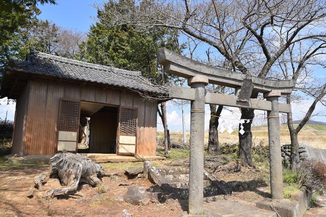 子神社（ねのじんじゃ）と鳥居の写真