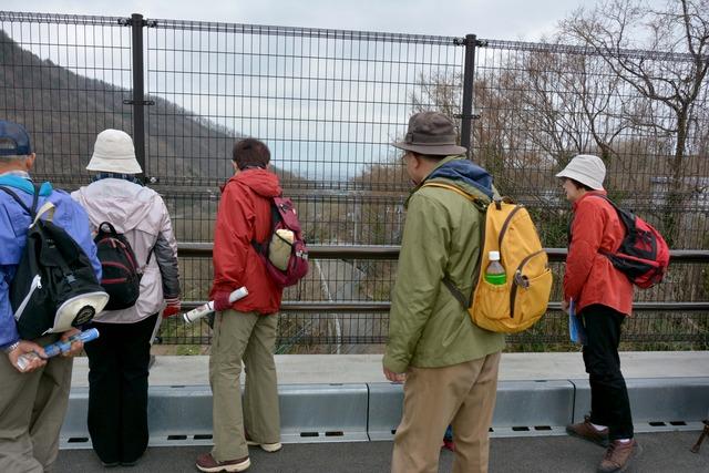 亀沢大橋を歩きながら橋上からの景色を楽しむ参加者たちの写真