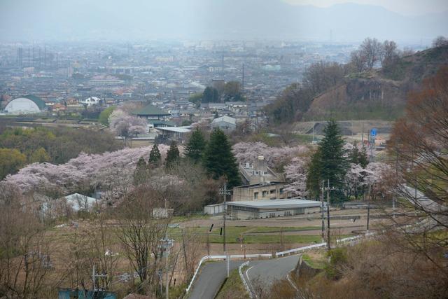 甲府盆地と山梨県水産技術センターのサクラが広がる亀沢大橋南側の風景の写真