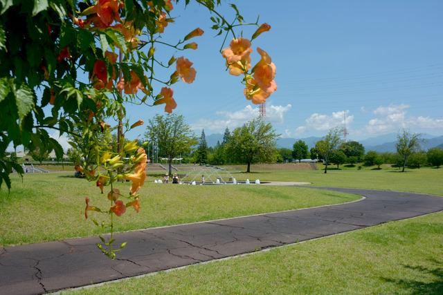 噴水公園で水遊びをする子供たちの写真