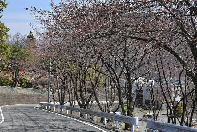敷島総合公園の写真4