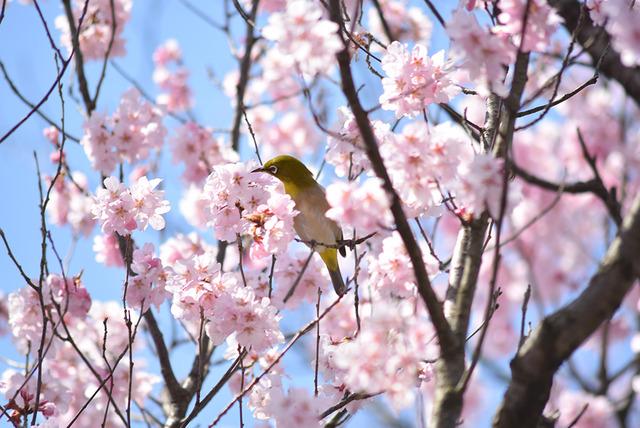 敷島総合公園の写真1