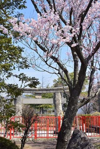 敷島総合公園の写真2