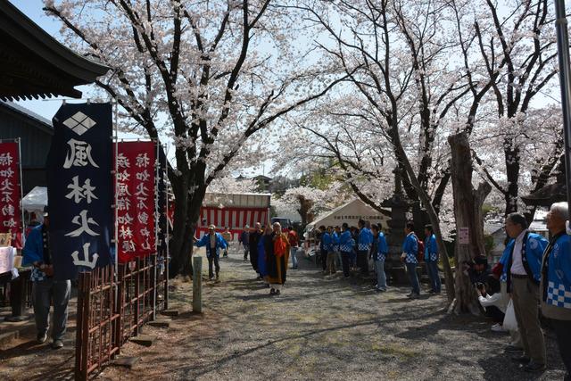 満開の桜が咲き誇る中を僧侶が列を作って歩いている写真
