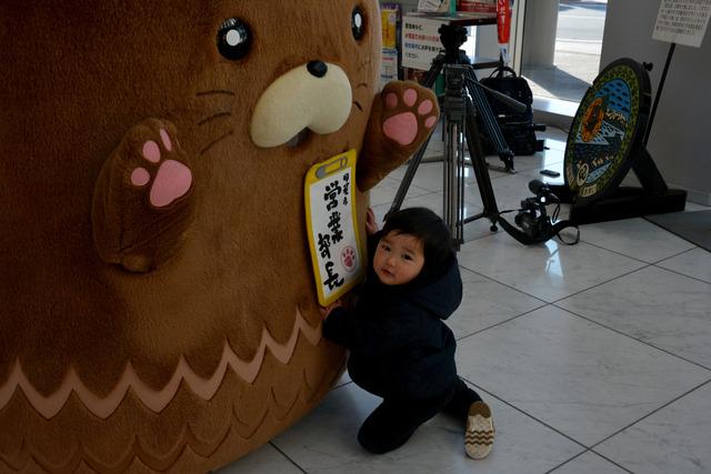 市役所で小さな子どもが「やはたいぬ」に抱きついている写真