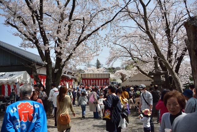 満開の桜が咲き誇る中、たくさんの人で賑わう光照寺祭典の写真