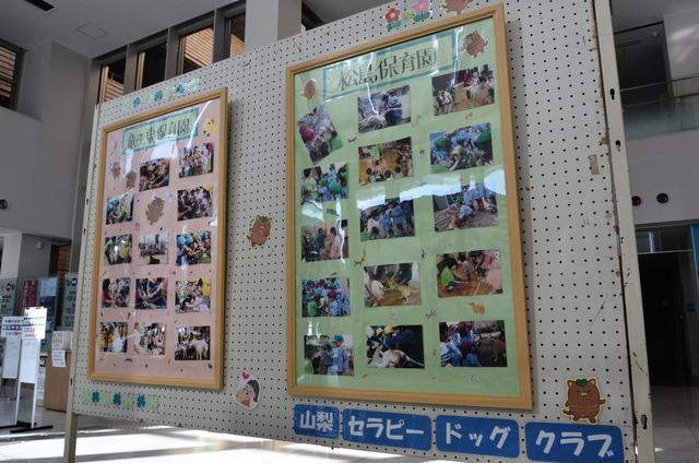 竜王東保育園と松島保育園でのセラピードッグとの交流の沢山が写真がパネルに展示されている写真