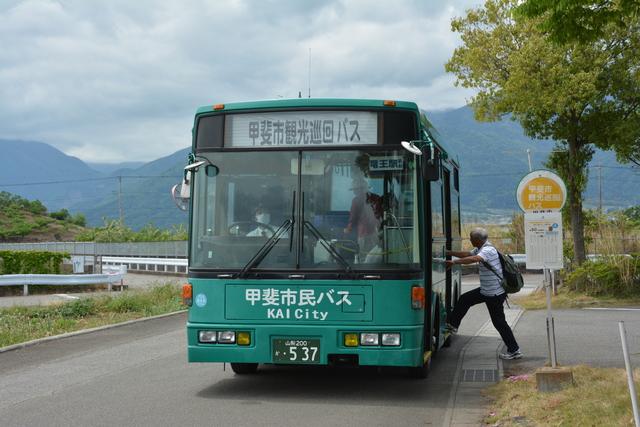 甲斐市登美農園 桑の実摘み体験の様子の写真5