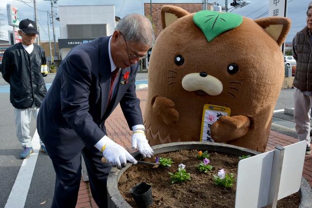 「やはたいぬ」が記念植花の指導をしている様子の写真