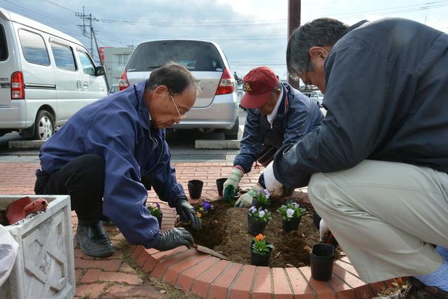 ボランティアの男性たちが花壇に植花している様子の写真