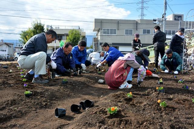 オレンジや紫色のビオラを参加者が植え付けている様子の写真