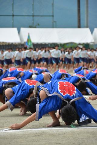 青い法被を着て地面に頭を下げて並ぶ生徒たちの写真