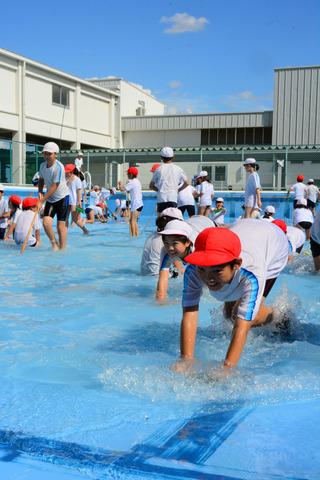 市内小学校でのプール清掃の様子の写真5