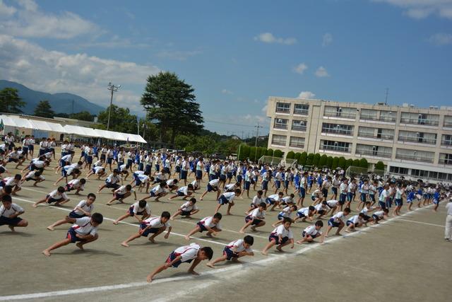 運動場いっぱいに並んでソーラン節を踊る生徒たちの写真