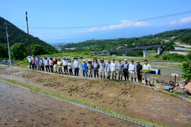 棚田の田植えの様子の写真5