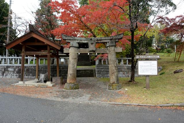 紅葉の色鮮やかな三社神社の写真