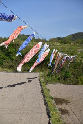 鯉千匹子どもまつりの写真1