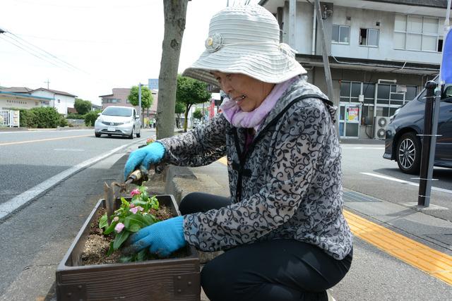 春の一斉植花ボランティア作業の様子の写真2