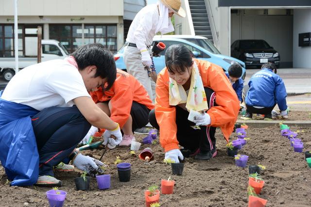 春の一斉植花ボランティア作業の様子の写真1