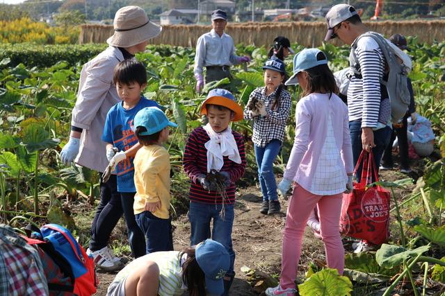 子供たちが野菜を収穫している写真4