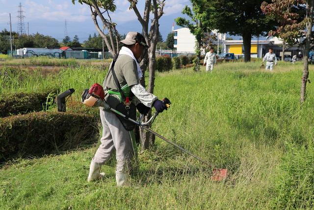 男性が草刈り機で草刈をしている写真