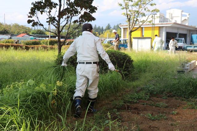 男性が手で草刈の草を運んでいる写真