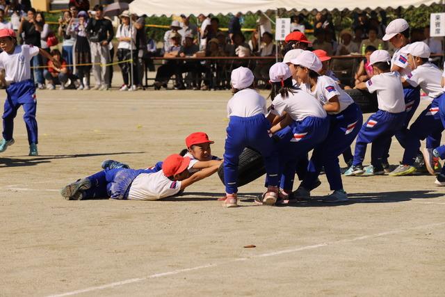 竜王小学校運動会