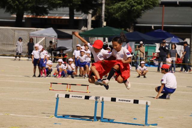 竜王小学校運動会