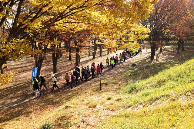 紅葉がすてき、人たちがウォーキングをしている写真