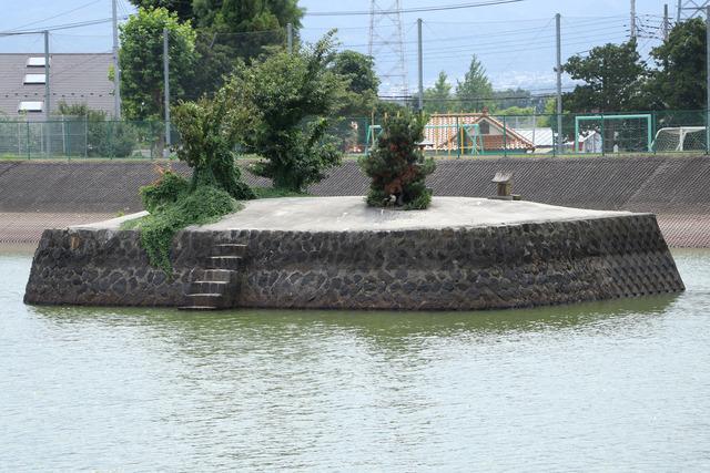 弁財天がまつられている溜池中央の島の写真