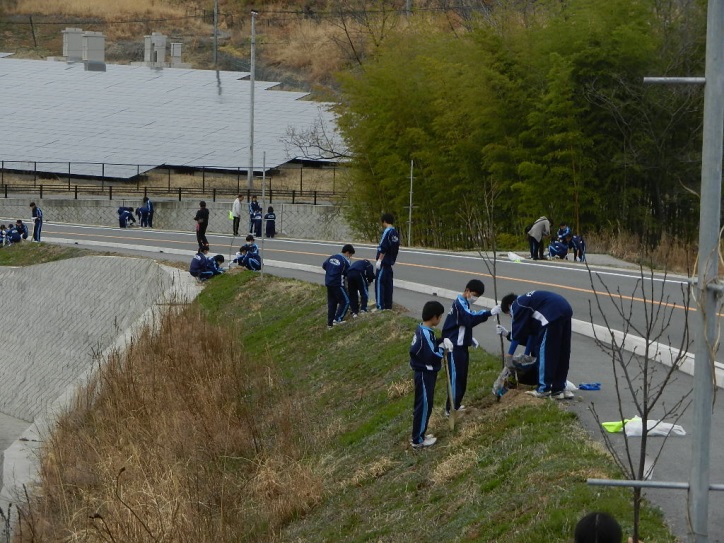 茅ヶ岳東部広域農道沿いに中学生が桜を植えている写真
