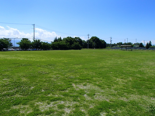 芝生公園広場の写真