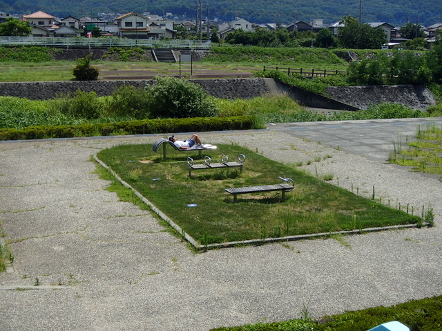 荒川河川公園の健康遊具の写真