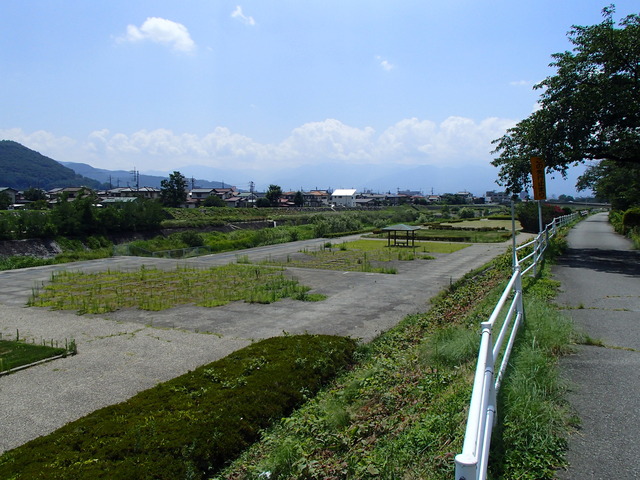 荒川河川公園の広場の全体写真