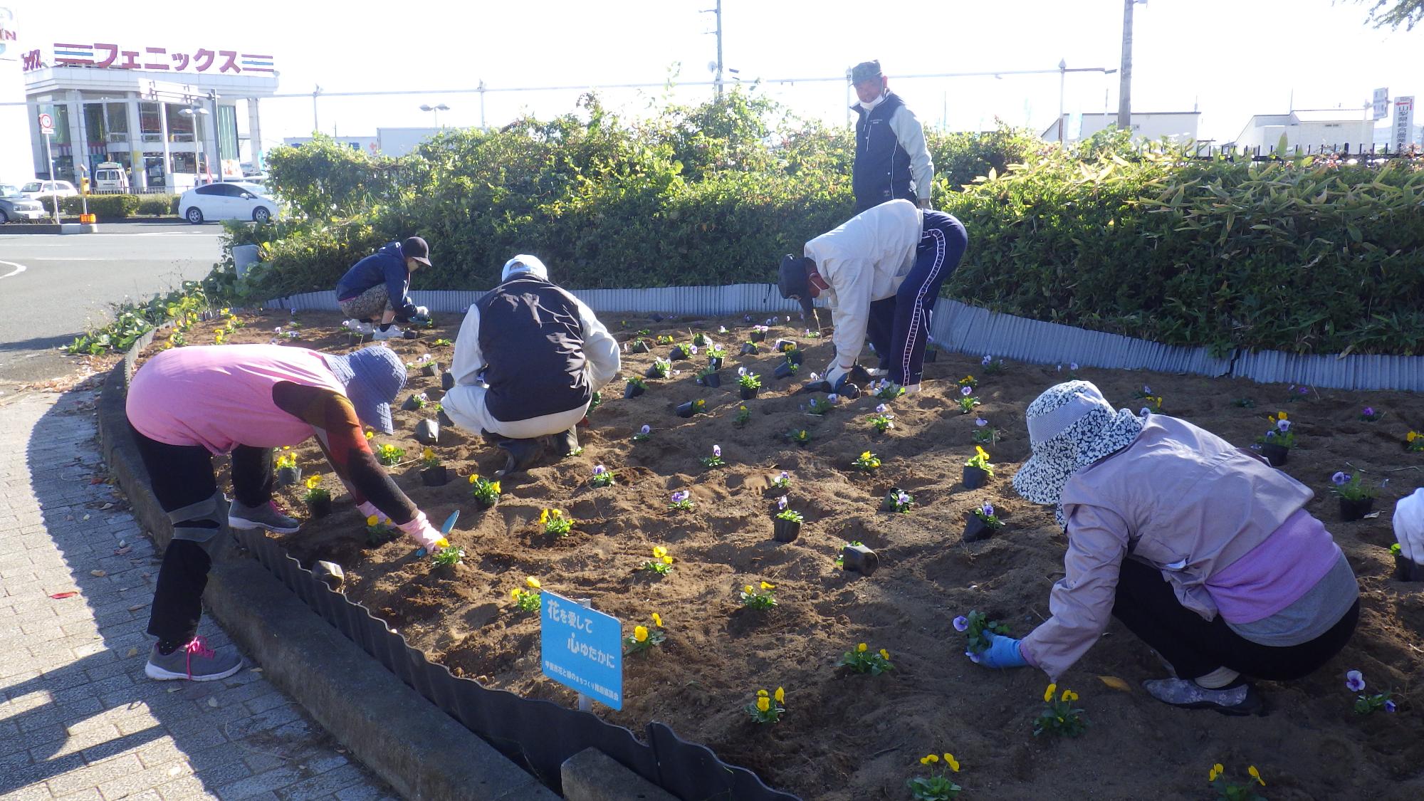 双葉ふれあい文化館花壇