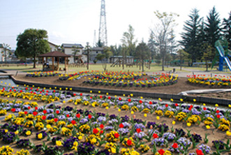 西八幡公園花壇の写真
